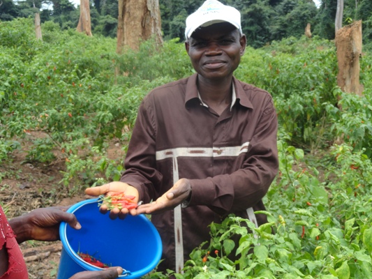 LE PRÉSIDENT  DE TdA EN ACTION SUR LE TERRAIN