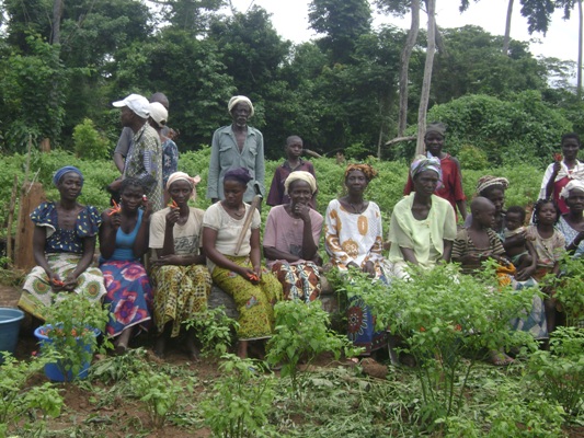 REALISATION DES PROJETS MARAÎCHERS POUR LA RELANCE DE CADRE DE VIE A TIASALE COTE D'IVOIRE