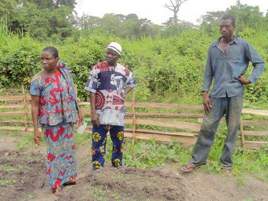 REALISATION DES PROJETS MARAÎCHERS POUR LA RELANCE DE CADRE DE VIE A TIASALE COTE D'IVOIRE