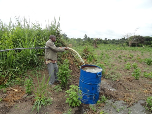 REALISATION DES PROJETS MARAÎCHERS POUR LA RELANCE DE CADRE DE VIE A TIASALE COTE D'IVOIRE